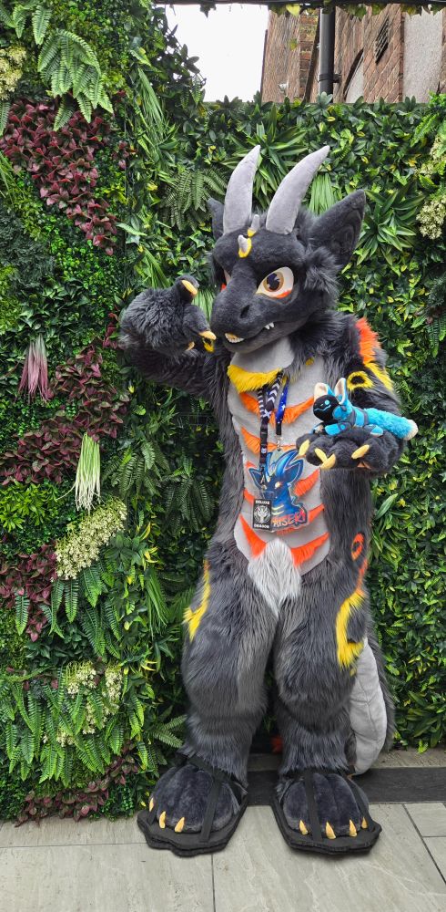 A dragon fursuiter is standing against a wall covered in tropical plants. His suit is black with a grey stomach and yellow, red, and orange markings. He has two large grey horns and a few small ones in a line down his forehead. There is a smiling blue protobean perched on his arm.