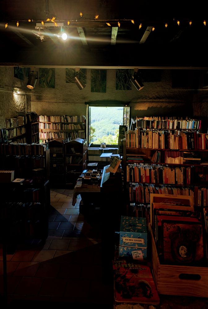 Old library with a view on the countryside #darkacademia #aesthetic #cottagecore #photography 