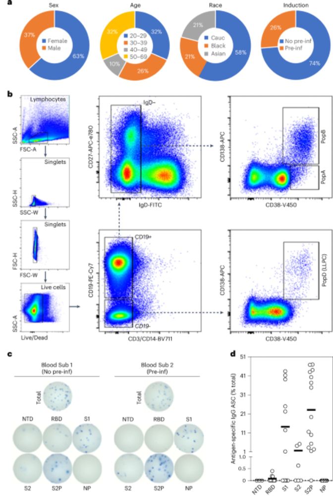 SARS-CoV-2-specific plasma cells are not durably established in the bone marrow long-lived compartment after mRNA vaccination - Nature Medicine