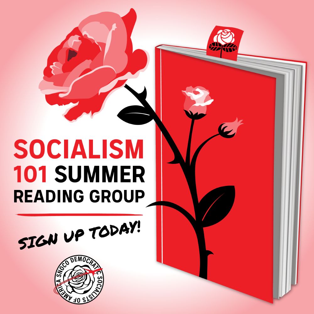This graphic has text that reads "Socialism 101 Summer Reading Group, Sign up today!." A simple illustration depicts a red book with a DSA rose bookmark and a large rose on the cover.