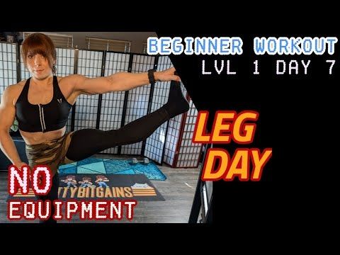 15 Min Beginner Full Leg Workout - No Equipment - Beginner Lvl 1 - Day 7