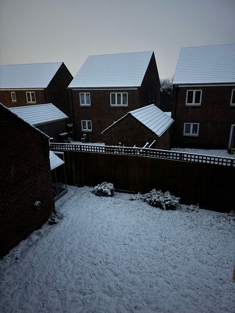 My garden and houses around covered in snow 