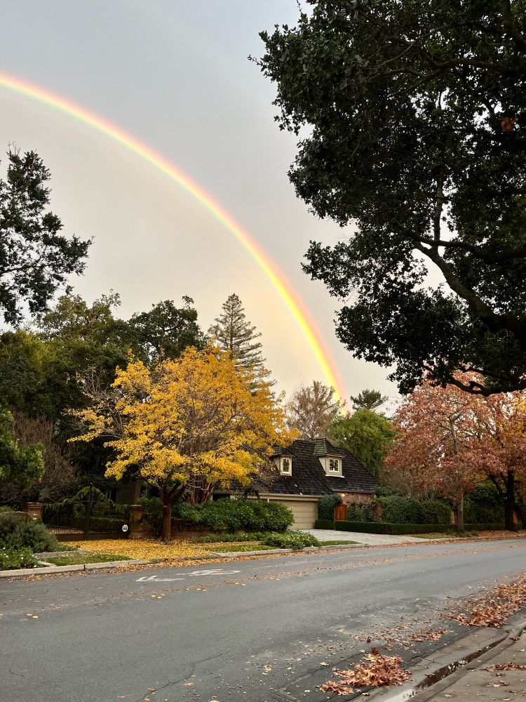 Rainbow above a house with road and tree in the foreground