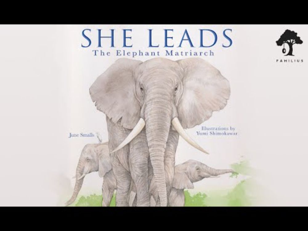 She Leads: The Elephant Matriarch | Read Along With Me Picture Books