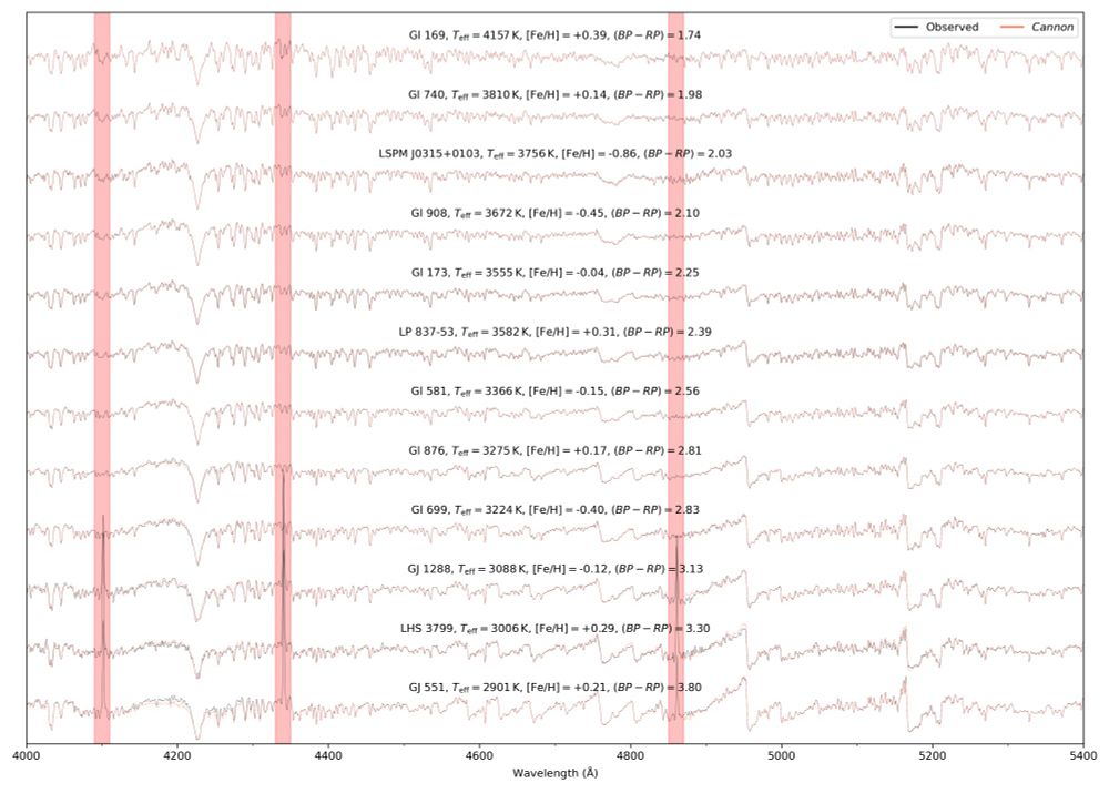 Observed low resolution blue spectra of benchmark M/K dwarfs ordered from warmest (top, smoothest) to coolest (bottom, most wiggly) as compared to a data-driven/machine learning (ML) model. The spectra match remarkably well!