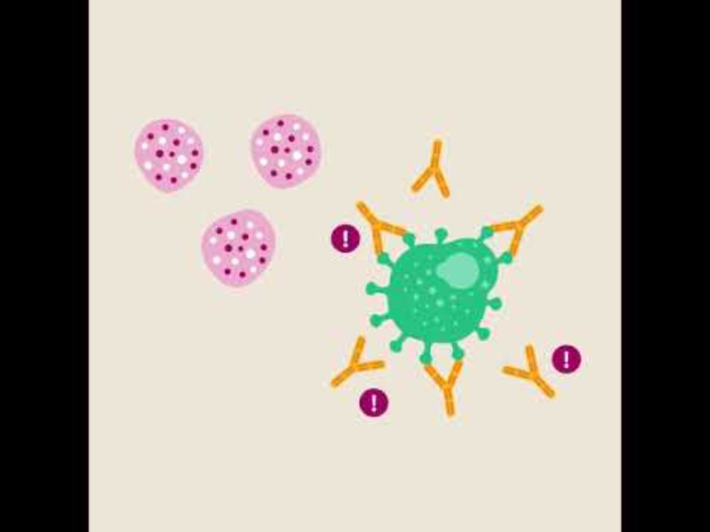 How Coronavirus causes severe COVID-19: abnormal antibody responses