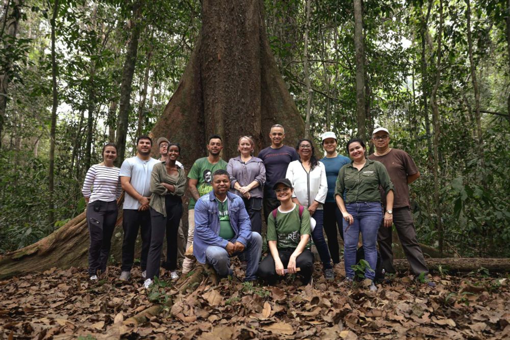 Ministra do Reino Unido conhece ações pioneiras executadas pelo governo na conservação das florestas no Acre - Noticias do Acre