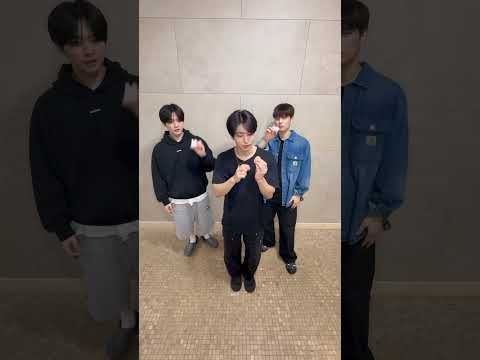 🪺🐰🐿️🐶🪺 #StrayKids #스트레이키즈 #YouMakeStrayKidsStay