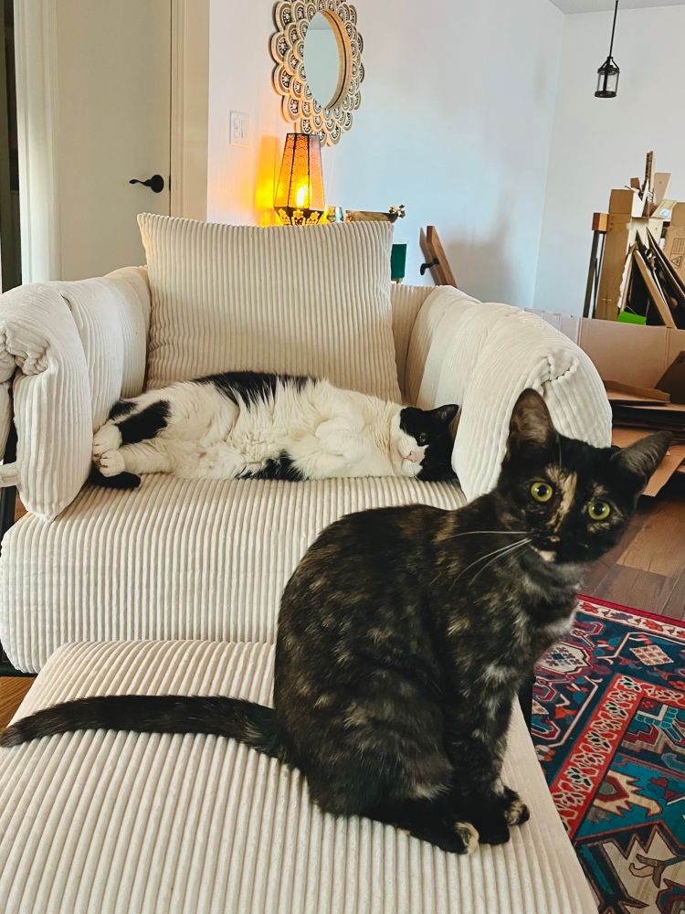 A black and white cat (Jojo) laying sideways on a white cushioned chair while a smaller kitten (Pepper) sits on the ottoman in front of the white chair 