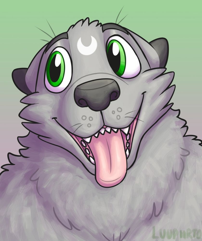 A headshot of a fluffy gray dog with ears folded back smiling and sticking out her tongue. She's looking to the side.