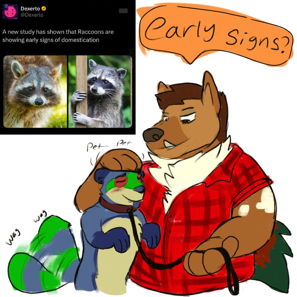 A post in the top left corner saying "A new study has shown raccoons are showing early signs of domestication". In the foreground, Villam is petting Malle the raccoon on the head while saying "Early signs?" Malle is wearing a collar and wagging his tail.