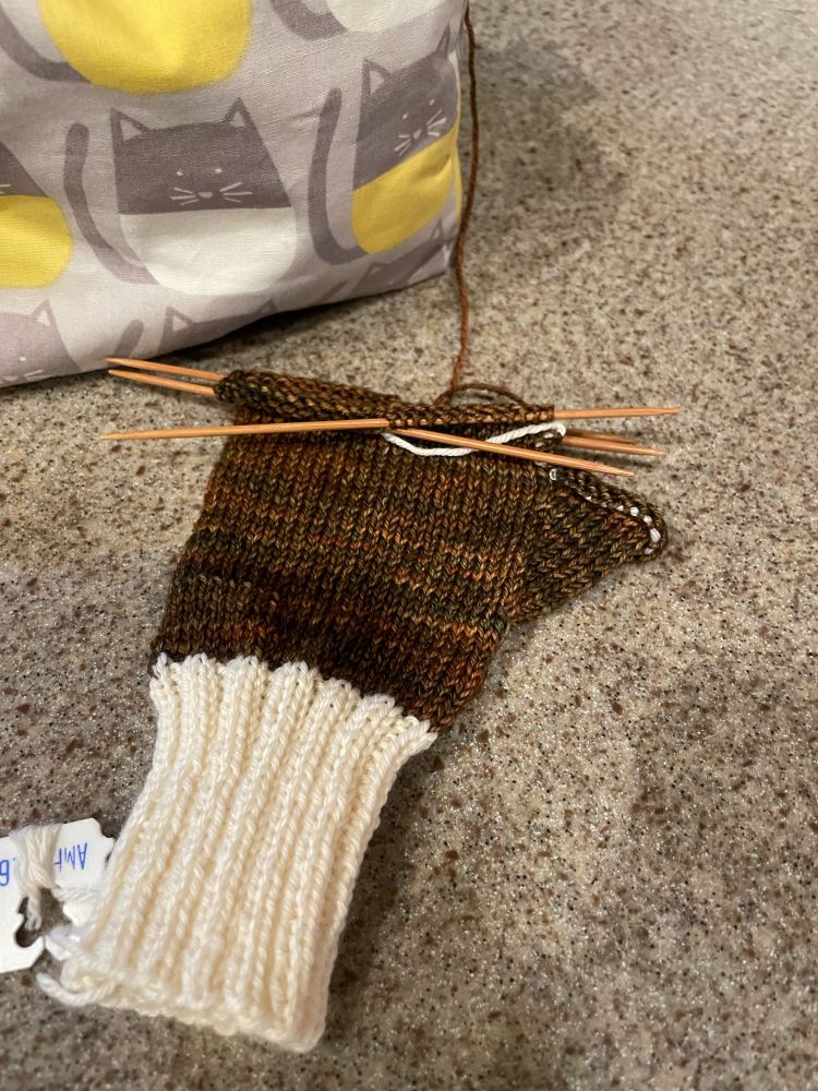 Fingerless mitt in progress.  Variegated brown with a white ribbed cuff. 