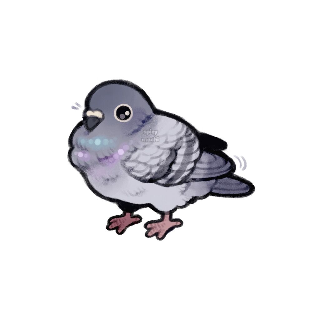Illustration of a round fluffy pigeon