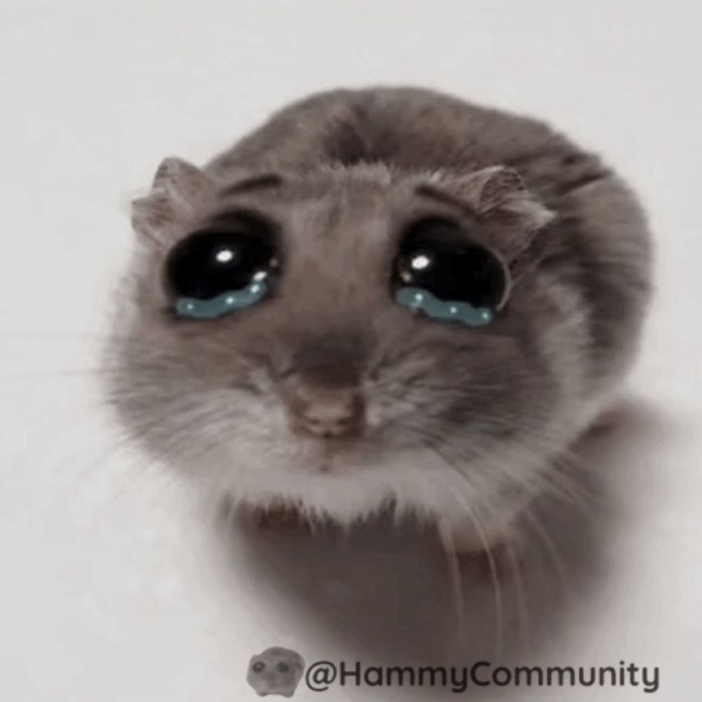 a close up of a hamster with tears in its eyes and the words hammy community below it