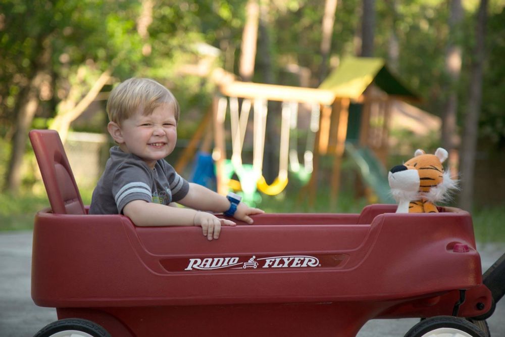 A little boy sitting in a Radio Flyer wagon with his stuffed tiger. 