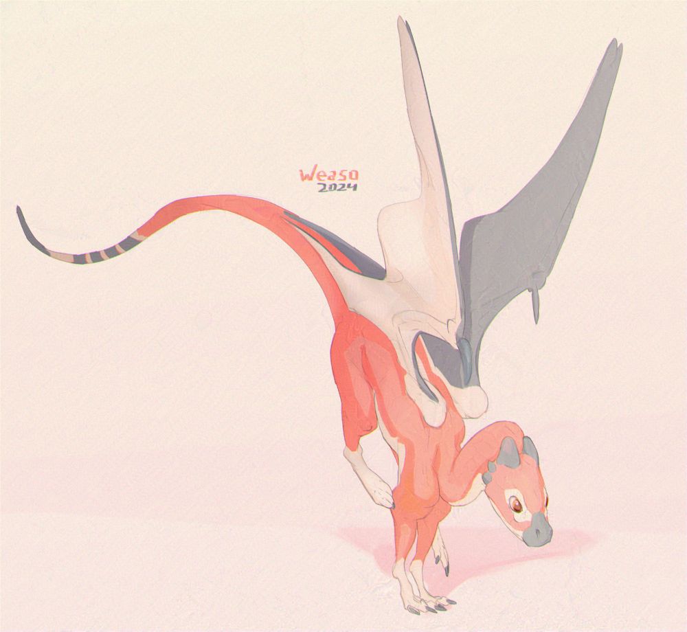 Small pink dragon running to the right with its wings suspended upwards
The body of the dragon is pink, with white in the paws, around the eyes and in the inner part of the wings.
The outer part of the wings is black, as well as the snout, small horns and tip of the tail