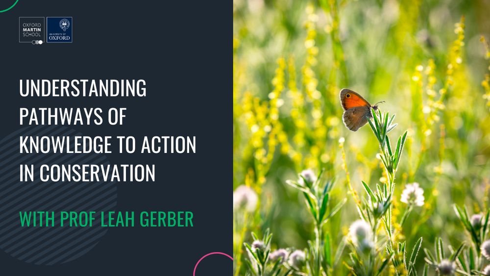 An event poster with text on the left reading Understanding Pathways of Knowledge to Action in Conservation with Prof Leah Gerber, and an image of a butterfly in a field on the right.