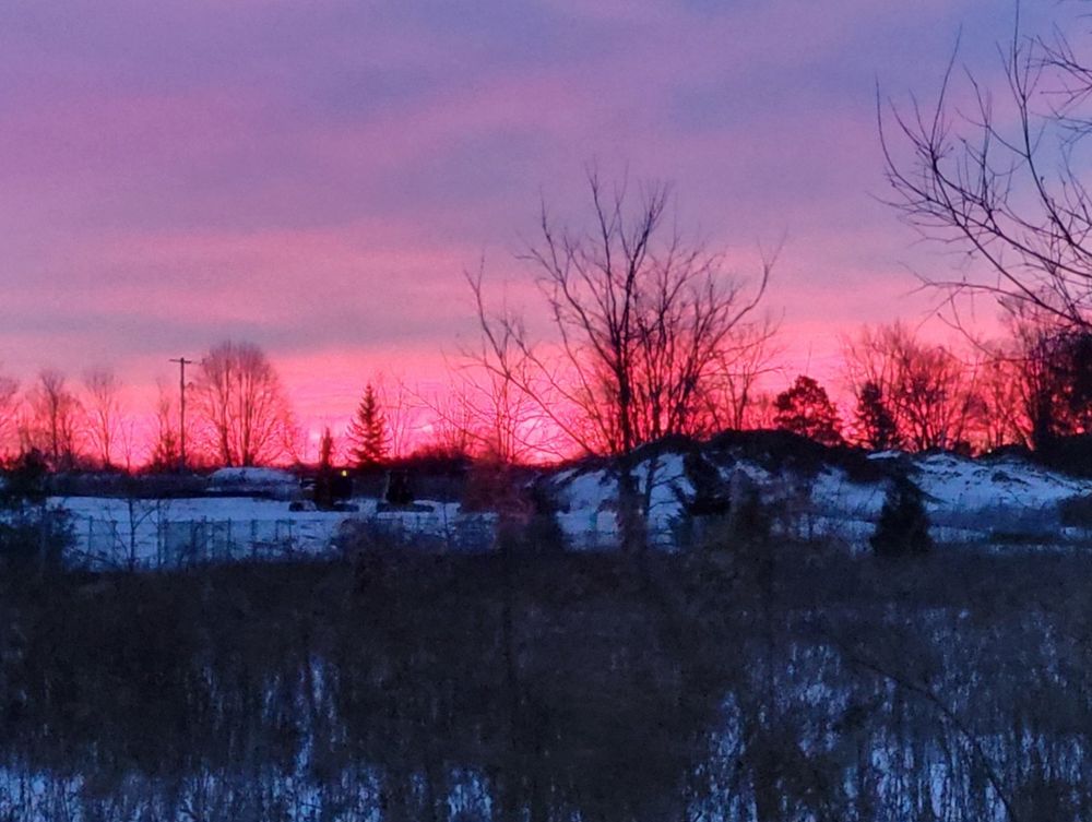morning sunrise reddish pink at the horizon, and pink tinged clouds above;
 in the foreground, mounds of snow-covered dirt from a construction site and some fledgling trees  