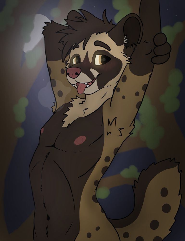 Asian palm civet furry male stretching :3 