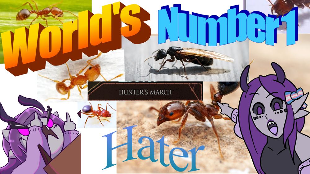 Sirona flipping a table in rage and pointing at a picture of Hunter's March from Silksong surrounded by ants and the words "World's Number 1 Hunter's March Hater."