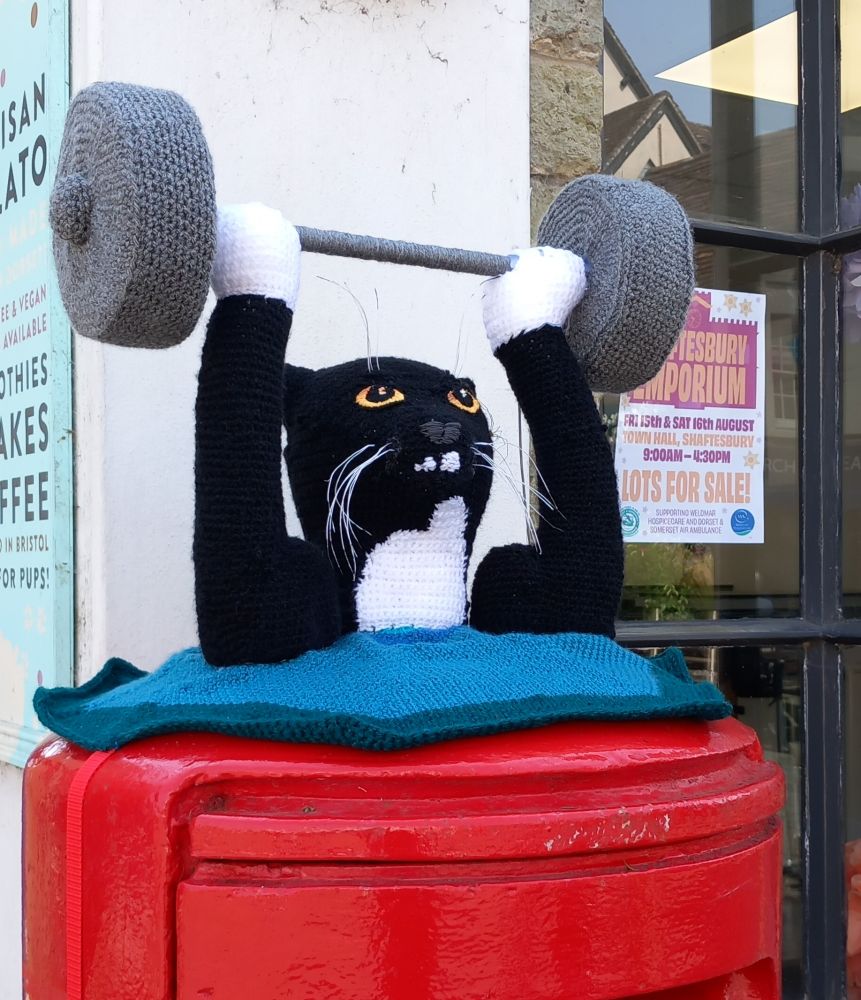 A photograph of a knitted postbox topper of a black and white cat lifting weights.