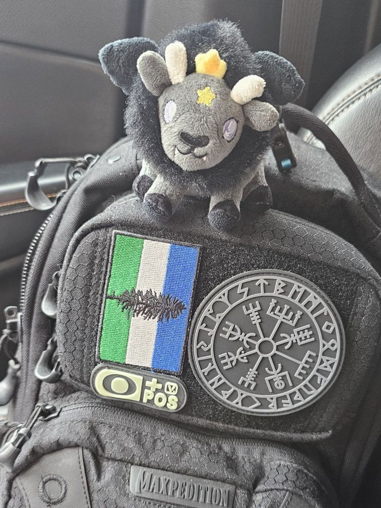 Aww lil Baphy goes everywhere with me! 😍 I need to get a smaller keychain version too 🖤 (in case you're curious, the circle is Vegvisir, the oldish Icelandic sigil for not getting lost 😁. And a Cascadia flag. Half hoping the US balkanizes at this point...) 