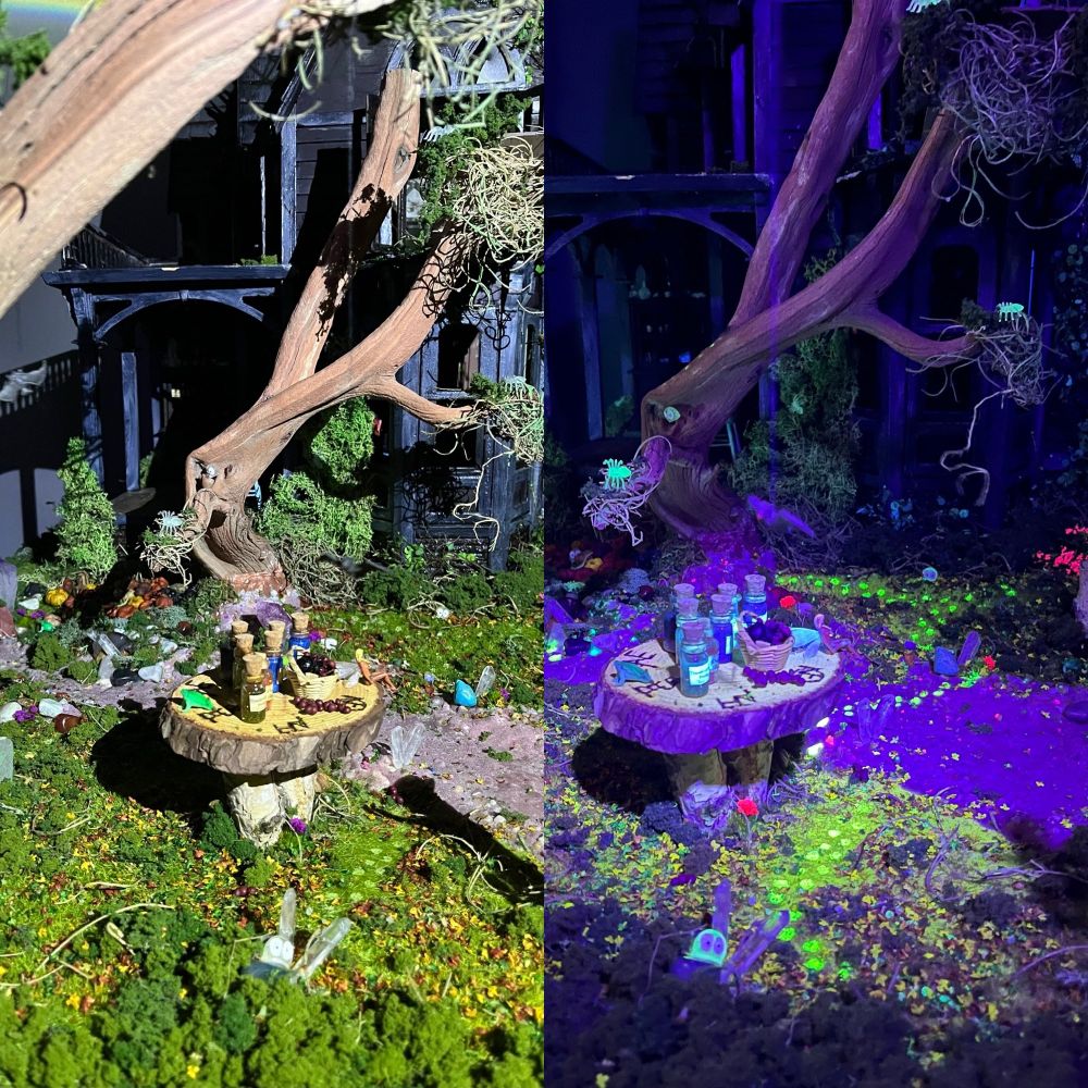 A daytime/nighttime view of the witches garden, with gnarled trees, and a road through lush greens. In the dark, there are glowing little footprint everywhere from the sprites!