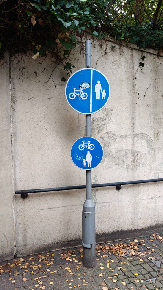 A lamppost bearing two directly contradictory signs: The upper indicating that cyclists and pedestrians should use separate paths, the lower indicting that cyclists and pedestrians should share the path.