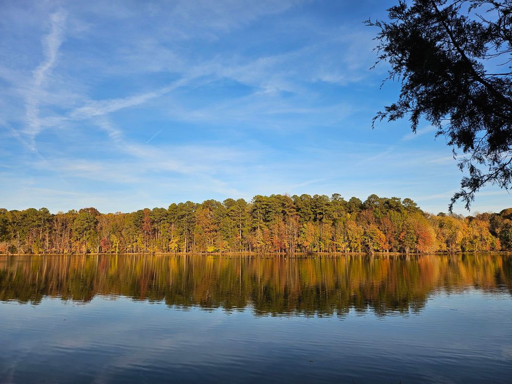 Golden hour fall trees on lake shore with reflection