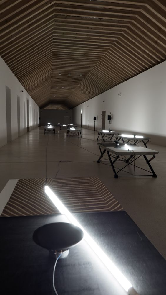 View of the installation. Several tables in a very long room with wooden ceiling. Each table has a mirror on its top that reflects the ceiling. Each table also has a loudspeaker pointing up and a LED tube light.