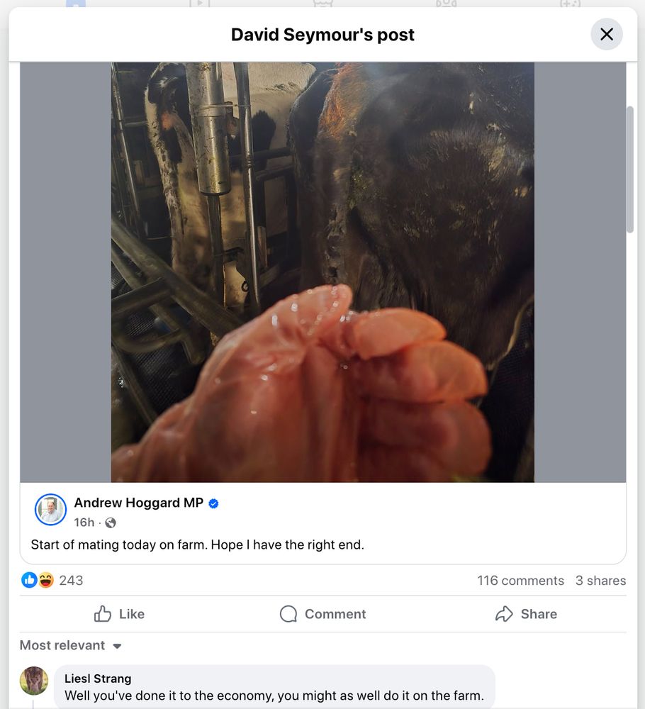 A Cow's rear end and Andrew Hoggard.