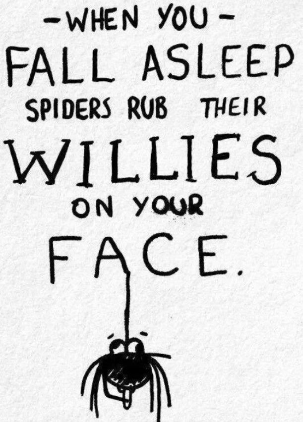 Drawing.
First text: WHEN YOU FALL ASLEEP SPIDERS RUB THEIR WILLIES ON YOUR FACE.
Hanging on a silk thread from the A of FACE is a spider, cheekily holding his over-sized willy.