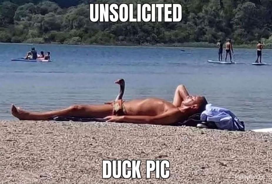 A naked man lies on a beach.
A duck is sitting next to his body, obscuring his genitals.
The caption is

UNSOLICITED DUCK PIC