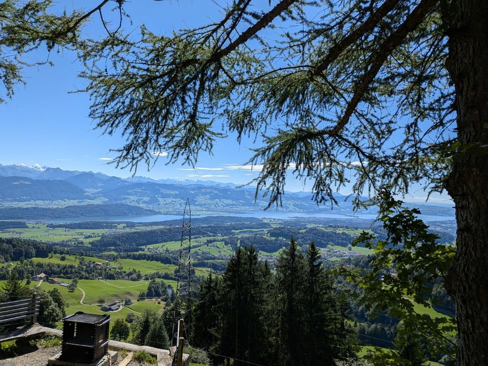 Der Ausblick von der Hoolywoodschaukel.