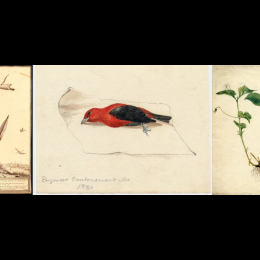 CFP: "Making Nature: The Labor of Natural History." June 6–7, 2024