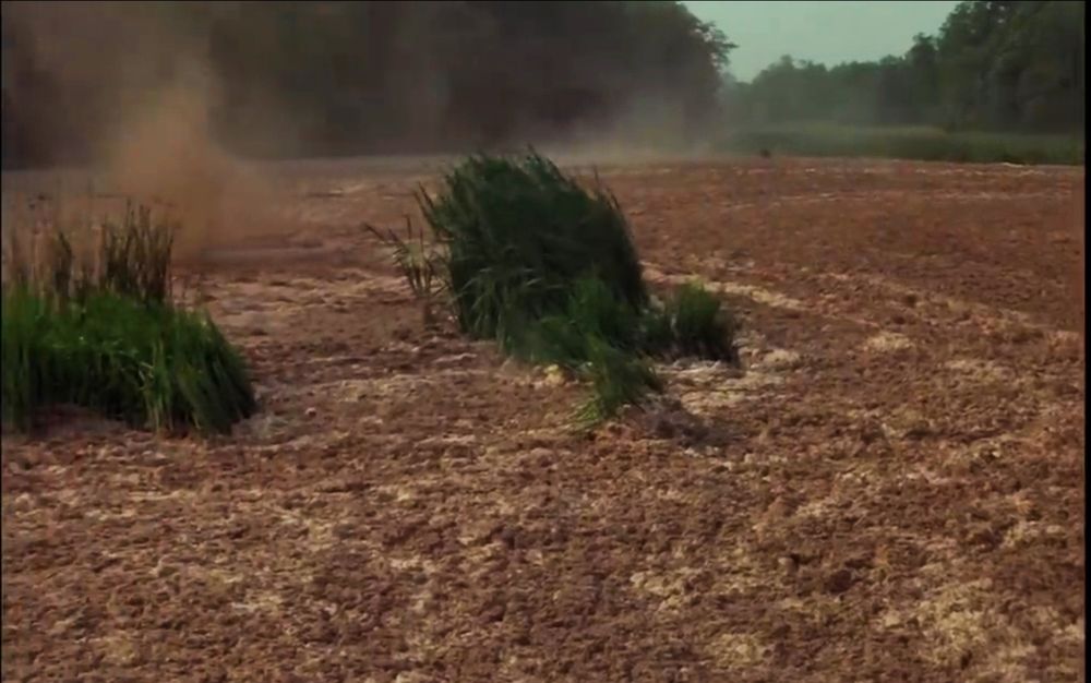 Image from Tarkovsky's Stalker. River or pool, covered in a thick layer of gently undulating brown industrial sludge. The wind creates vortexes of the dust, and larger flakes of god-knows-what look like snowflakes. Miraculously some green reeds are growing through it in places