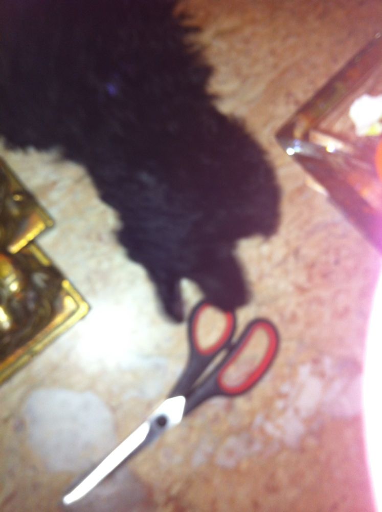 Trying to get a pair of scissors in her mouth.
