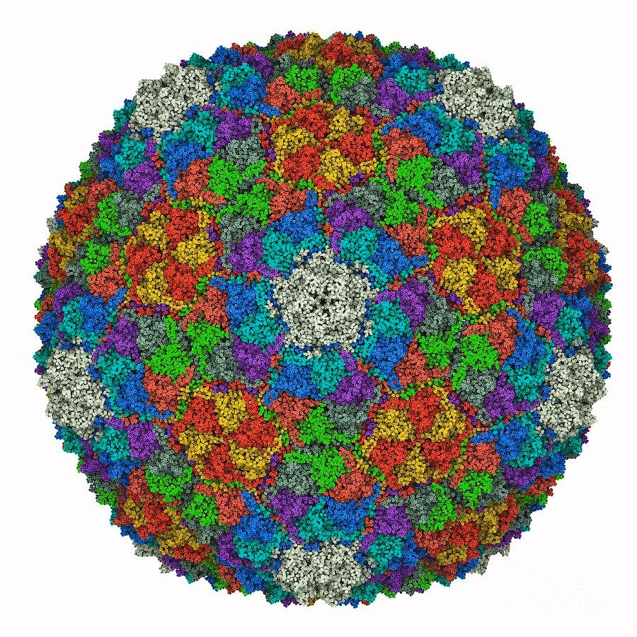 A colorful floral like ball featuring an assortment of pixels in multiple shades & color, representing a cyanophage capsid.
