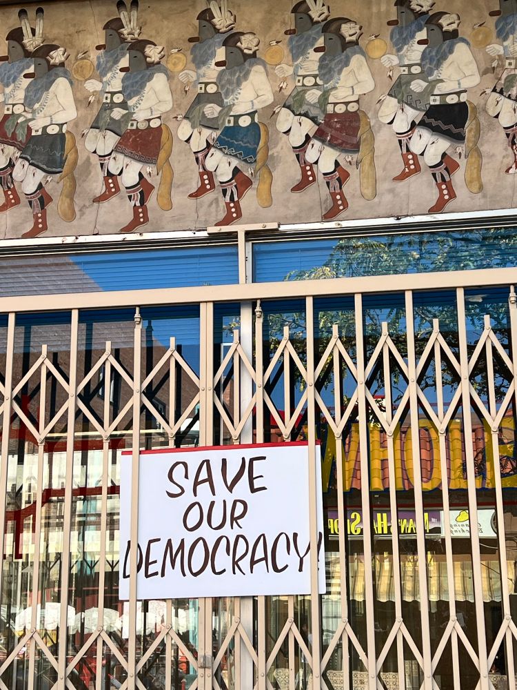 Save our democracy sign