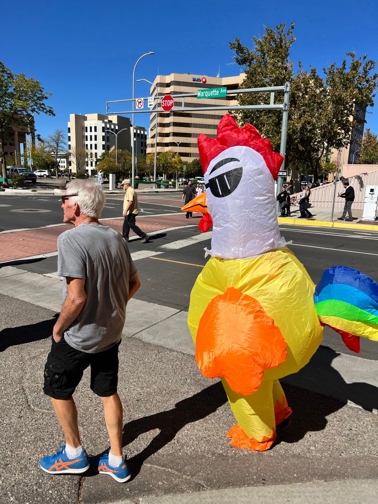 Chicken walking with her friend.