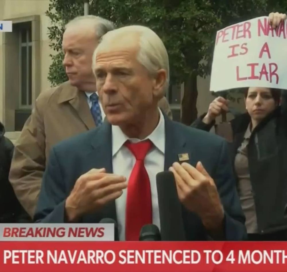 Photo of Peter Navarro speaking to press while anarchyprincess stands behind him holding a sign that says, 