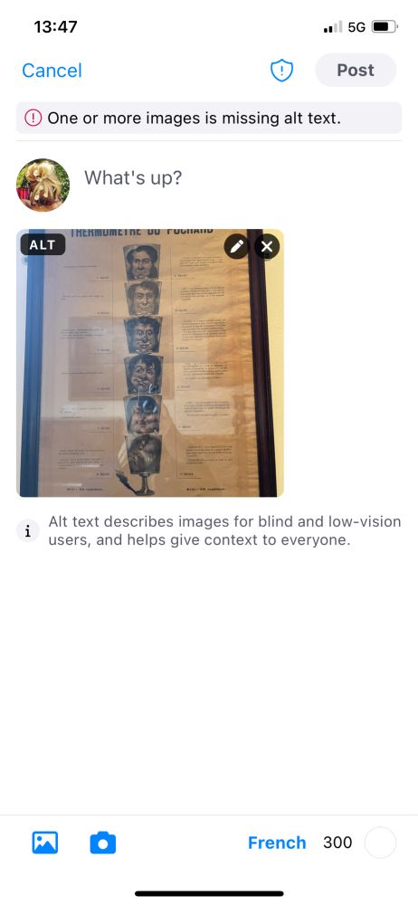 Capture d’écran d’un post avec image sur Bluesky montrant l’obligation de renseigner un texte alternatif sur une image