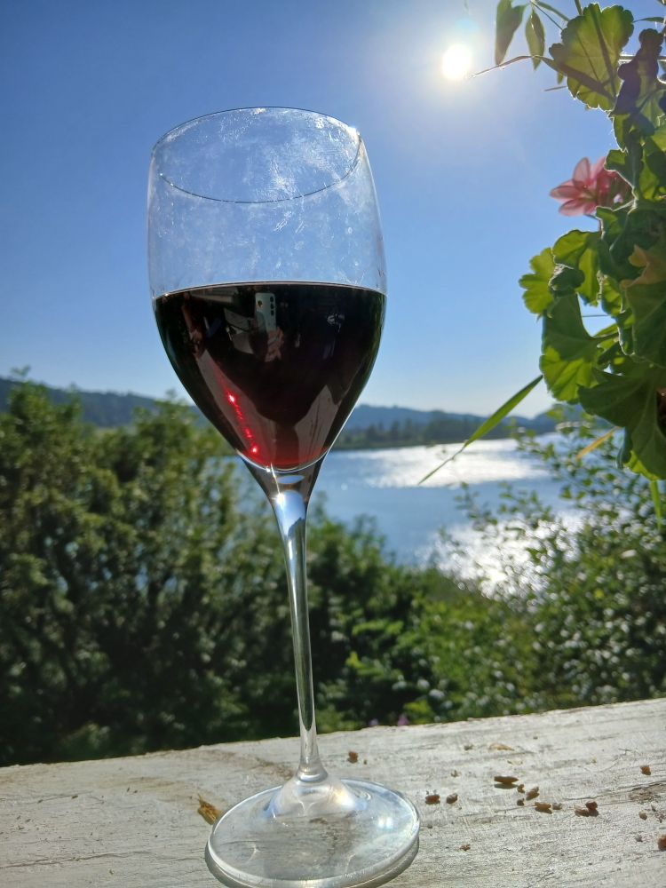 Weinglas mit rotem Wrin vor blauem See mit Glitzer. Grünes Gebüsch 