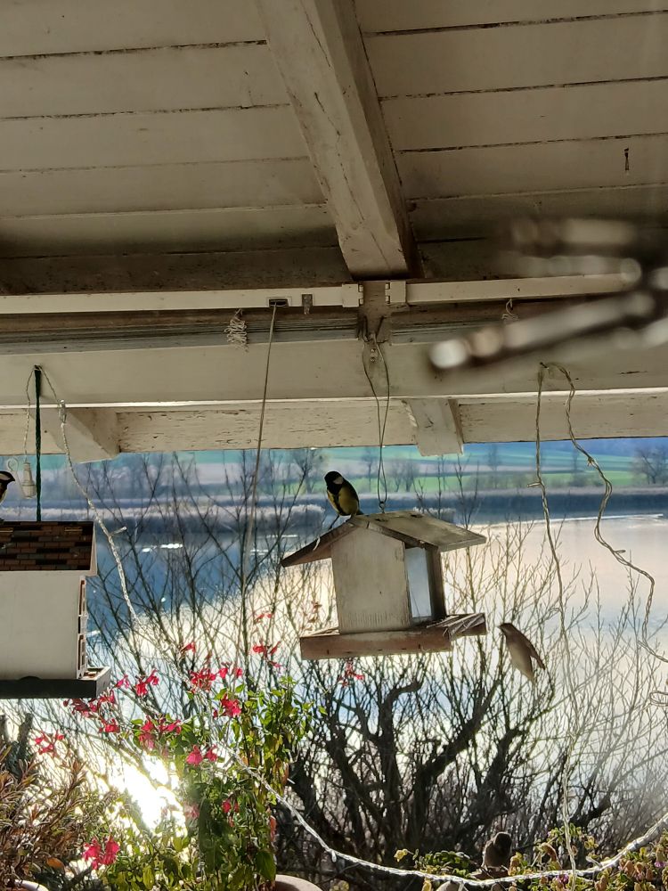 2 Vogelhäuschen in  weiss auf dem Balkon.  See und Baum im Hintergrund 
