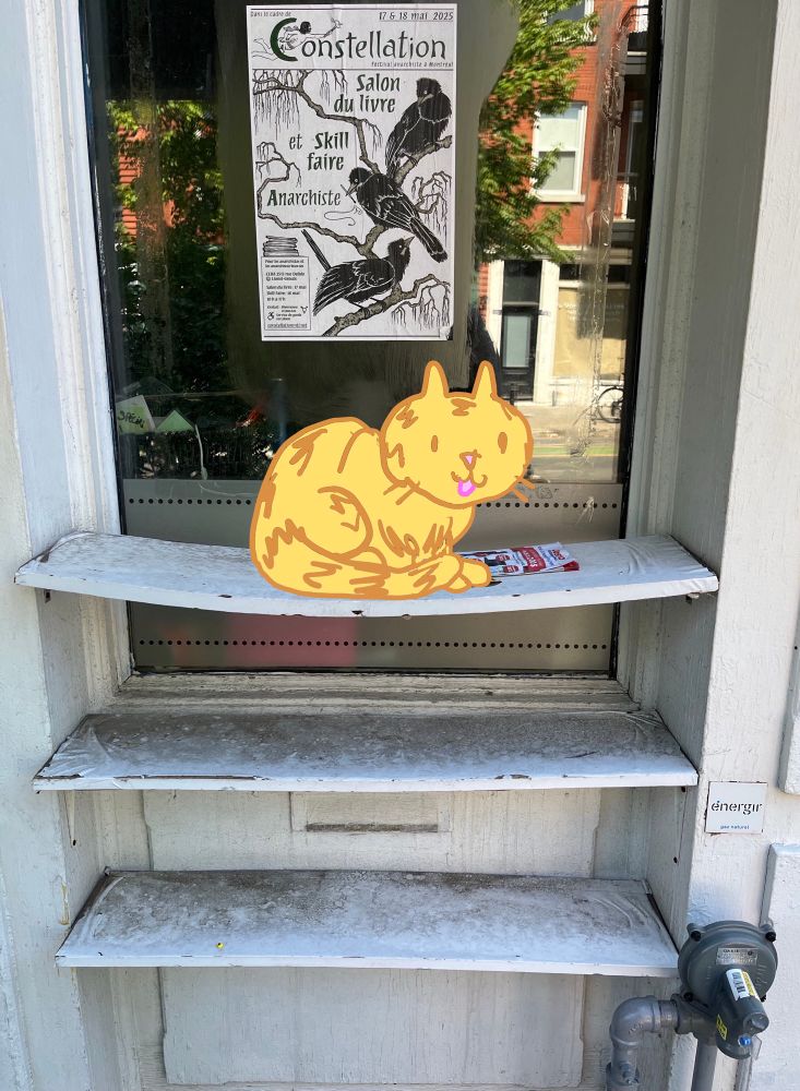 I drew a cat on an outside shelves 