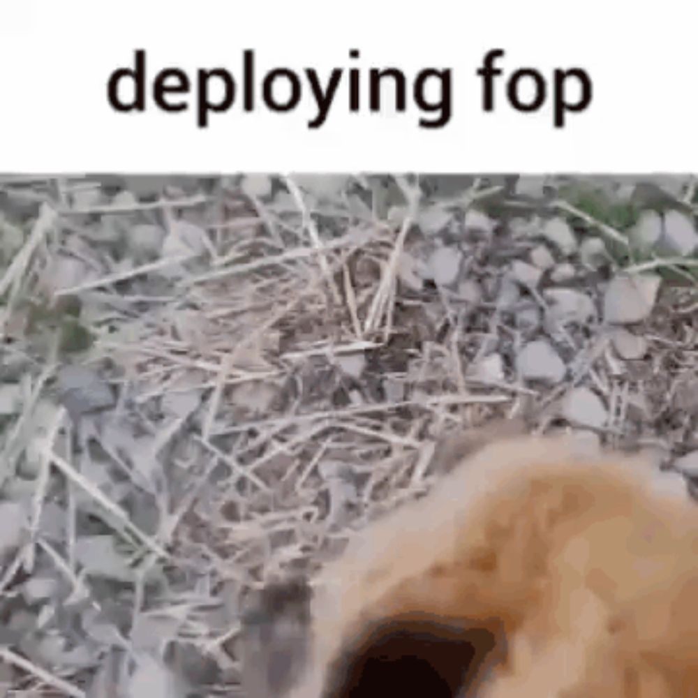 a dog is laying on the ground with the words `` deploying fop '' written on it .