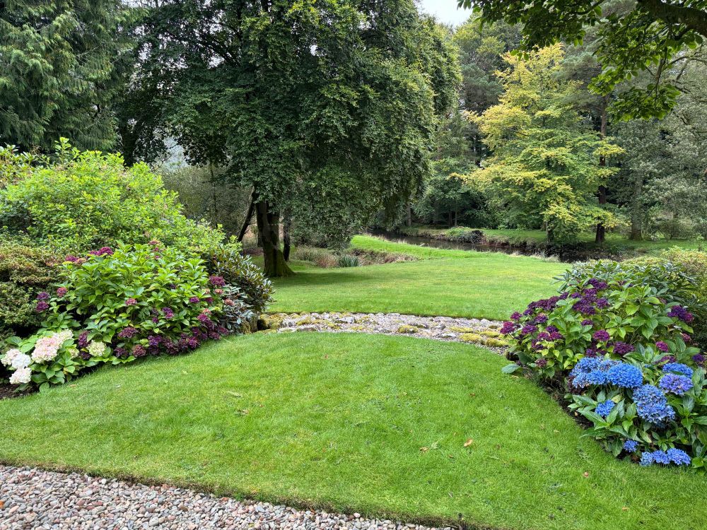 Hydrangeas Galesyke Wasdale