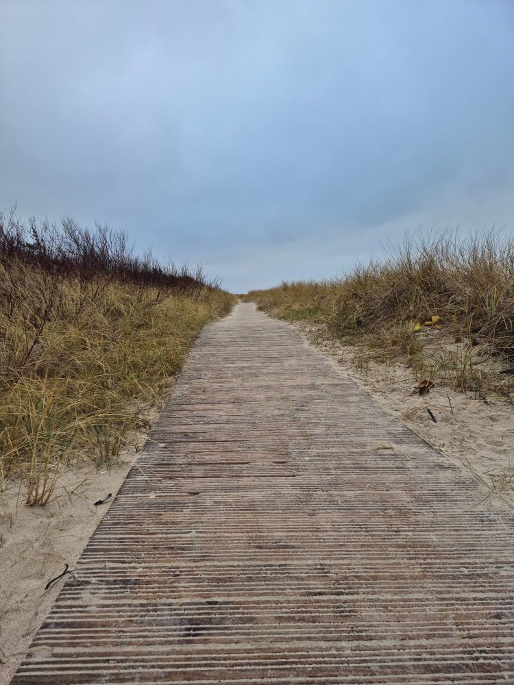 Wooden path near the Baltic sea