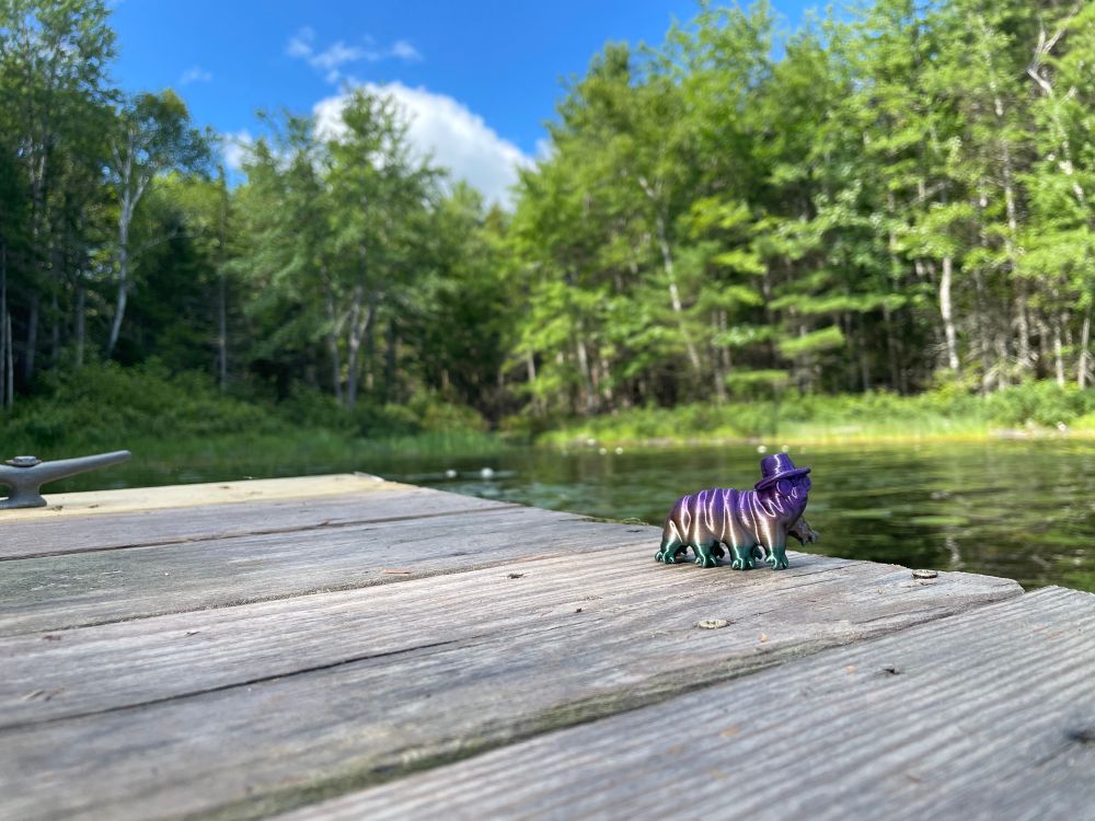 TardiDoc figure on a dock on a lake
