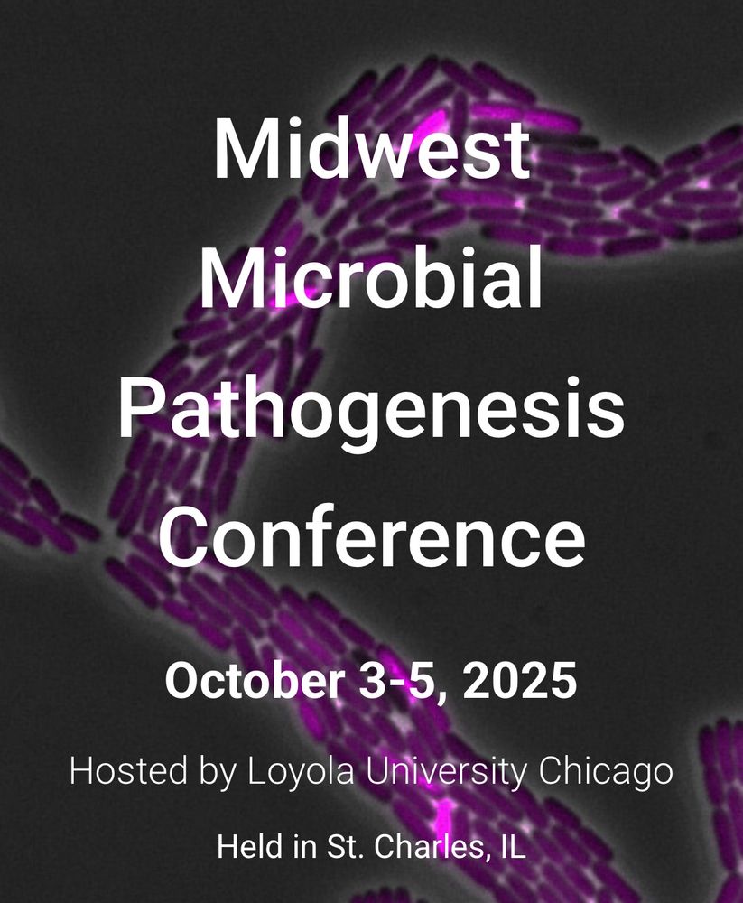 Announcing MMPC 2025
